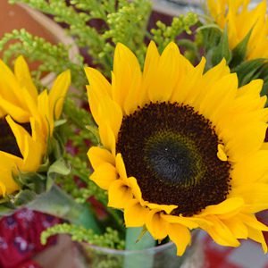sunflower theme party planner at best price