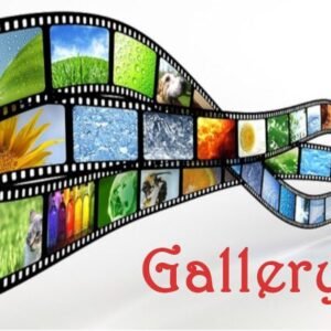 gallery birthday planner glarrey