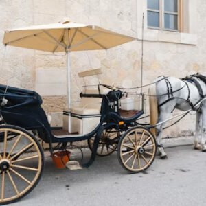 buggy-riding Buggy Ride