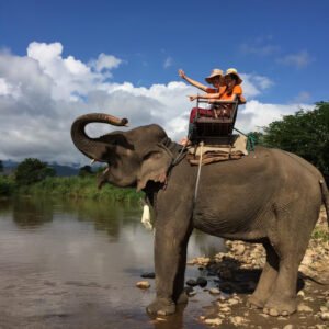 Elephant Riding