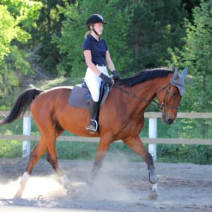 horse-riding horse-riding