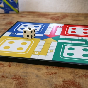 gaint-ludo-game gaint ludo game