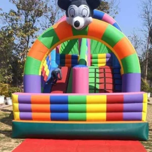 mickey-mouse-bouncy mickey-mouse-bouncy