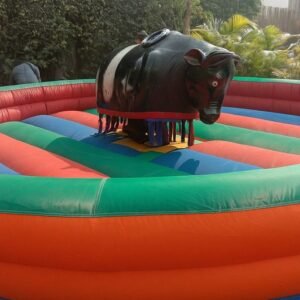 hire-bull-ride-on-rental hire bull ride on rental