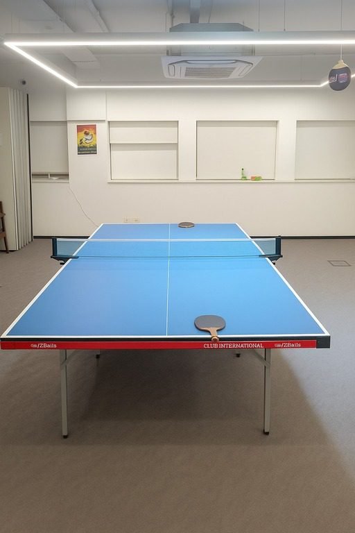 hire table tennis table