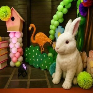 hire alice wonderland theme party