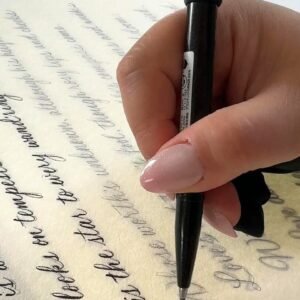 calligraphy-artist calligraphy artist