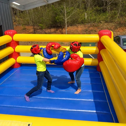 kangaroo boxing game in delhi