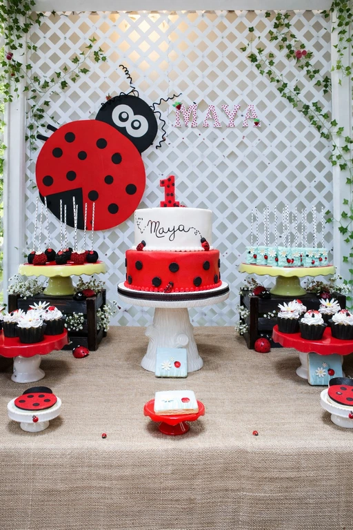 ladybug theme party planner in delhi