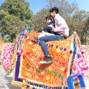 camel-ride-on-rent camel-ride-on-rent