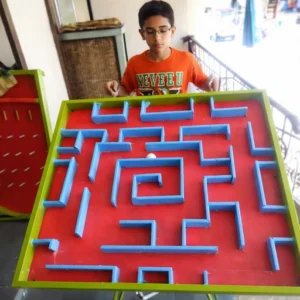 maze-board-game-in-delhi maze-board-game-in-delhi