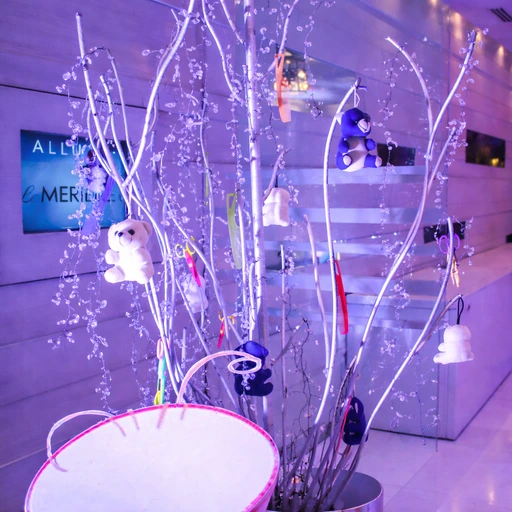 new-born-theme-party-planner-for-events
