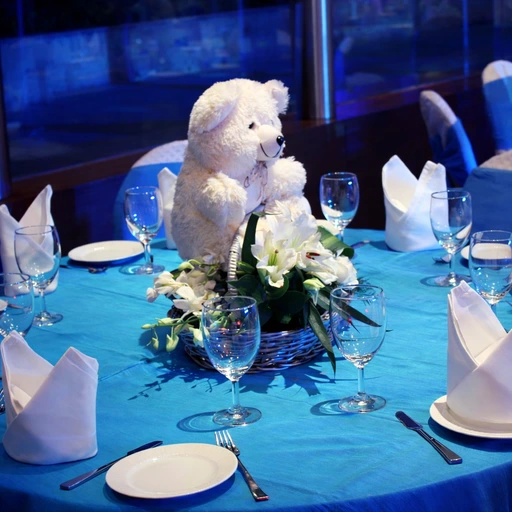 new-born-theme-party-planner-for-hire