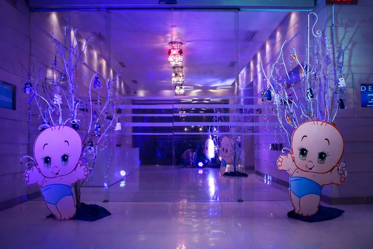 new-born-theme-party-planner