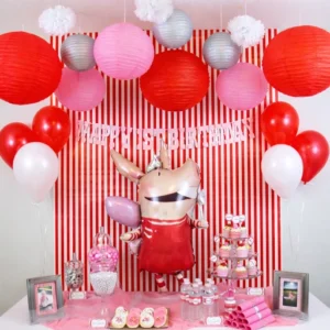 olivia-theme-party-planner-for-birthday olivia theme party planner for birthday