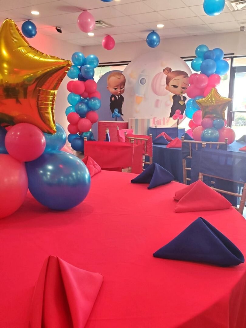 hire-twin-theme-party-planner